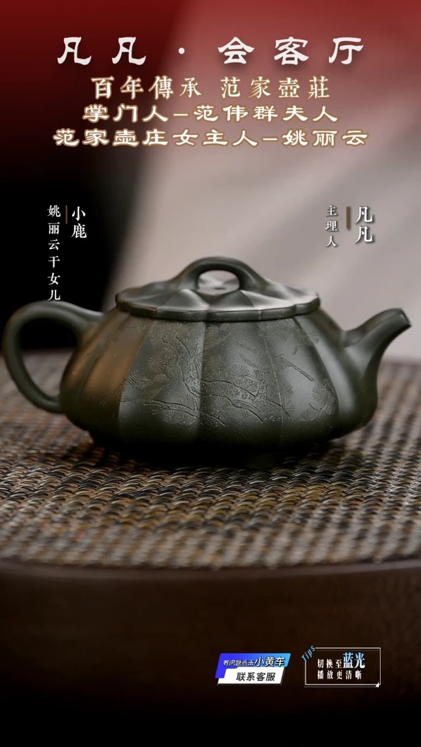 凡凡会客厅 姚丽云紫砂壶112