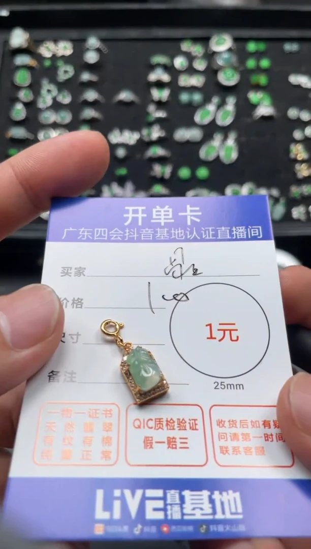 颈饰未镶嵌翡翠R****?挂件