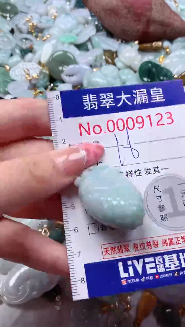 颈饰未镶嵌翡翠9123