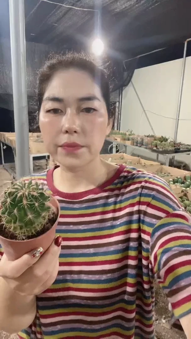 满十八元包邮【绿花龙王】