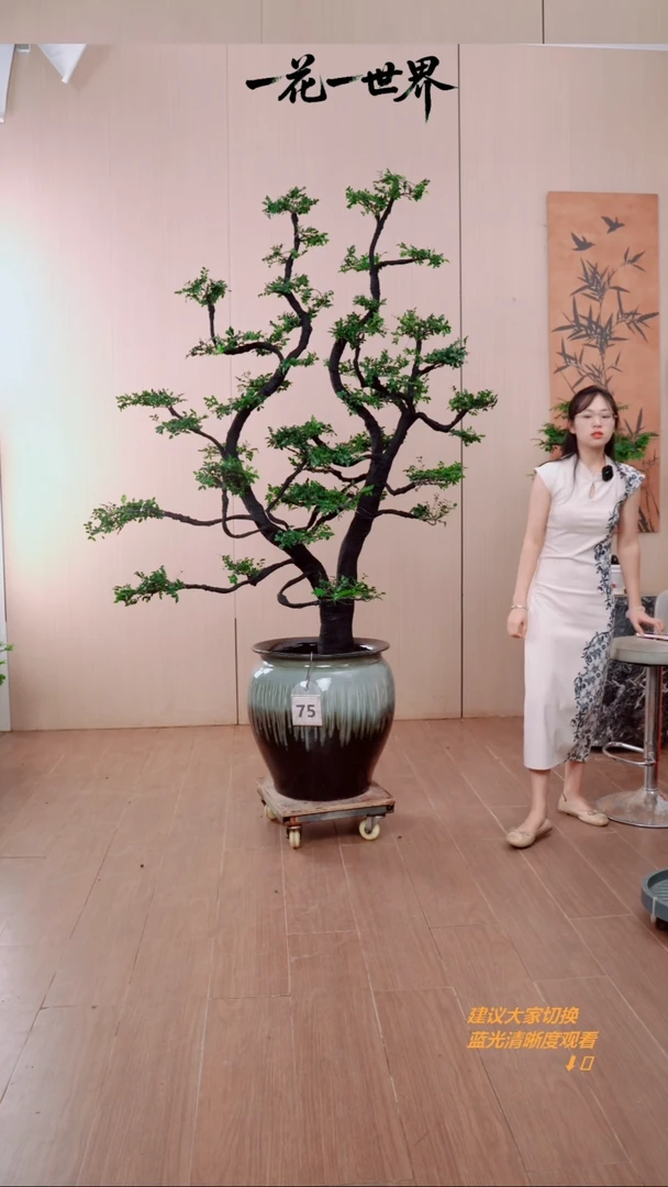 无花朵左**月75号链接