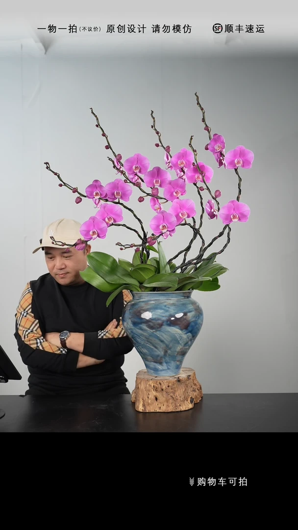 【闪购商品】008号链接【一物一拍】艺术盆景