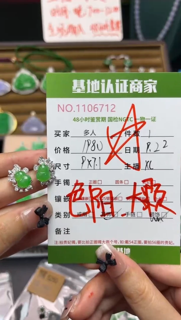 银S925镶嵌翡翠耳饰多人