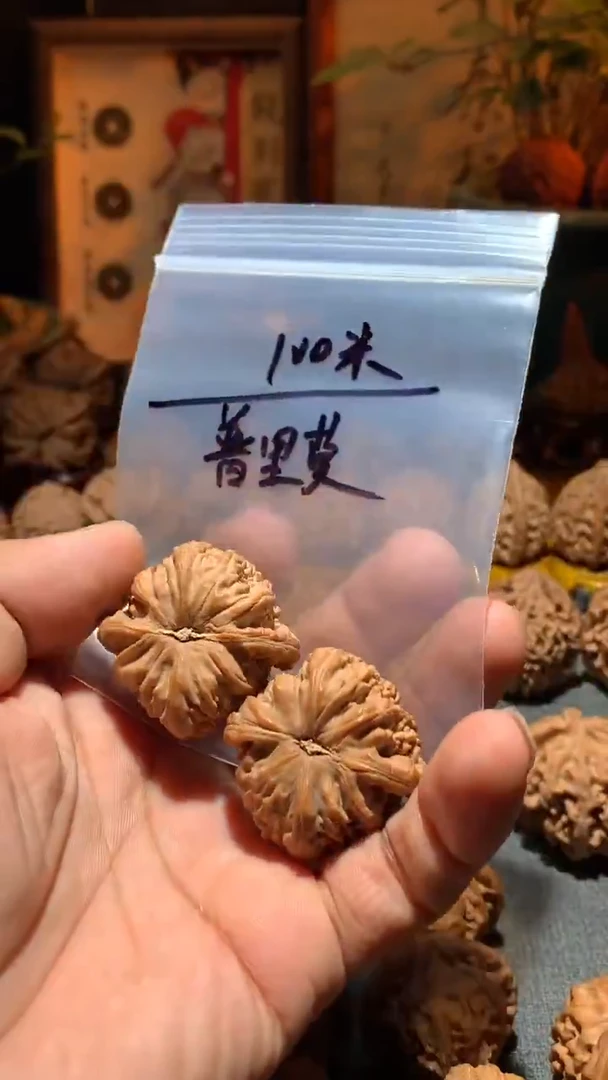 把件桃核普*莫丰泰文玩  白狮子  38  尺寸左右打底不退不换