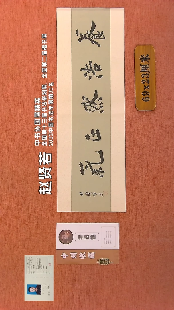 【闪购商品】书法266        赵贤若书法作品