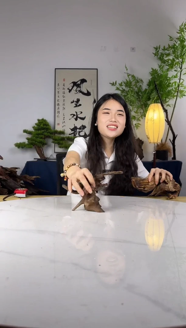 T****ʔ拍这个定向编号77