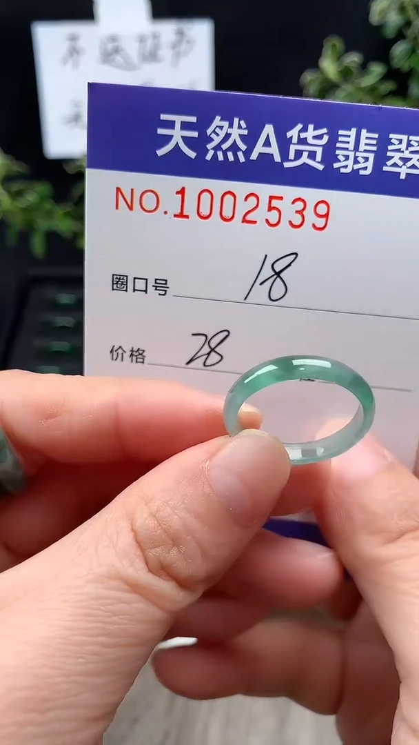 未镶嵌戒指翡翠18#
