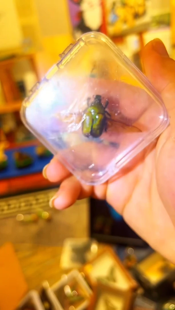 有机玻璃1511848848