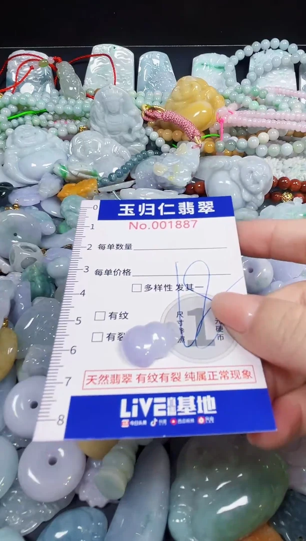 颈饰未镶嵌翡翠1100
