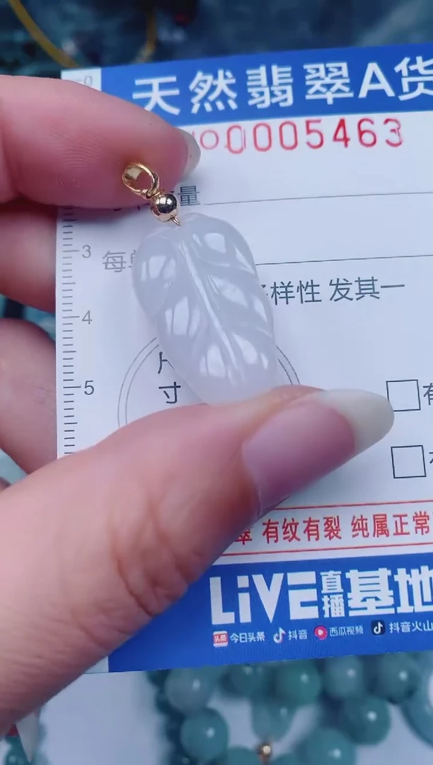 颈饰未镶嵌翡翠00005463