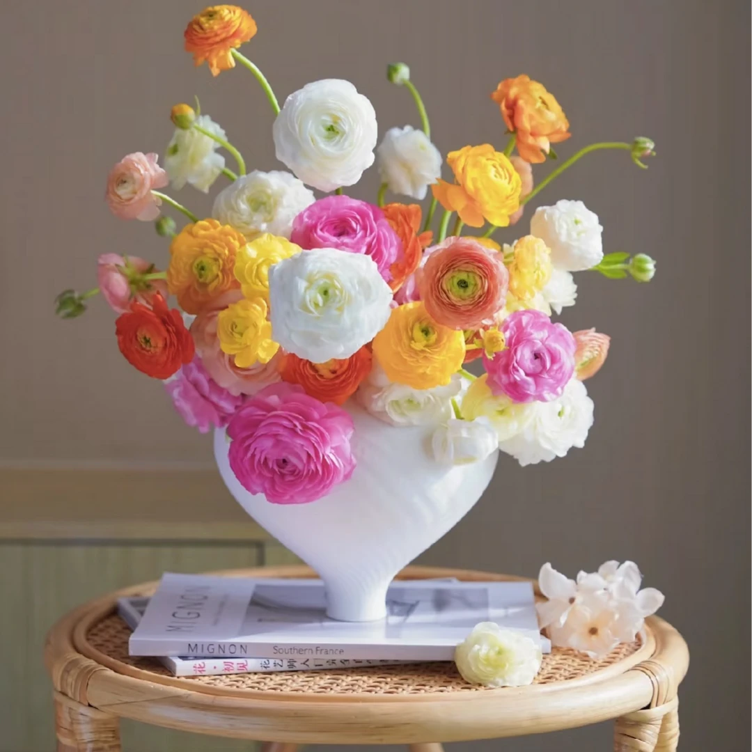 【洋牡丹】一单包邮三单顺丰冷链 云南基地鲜花直发