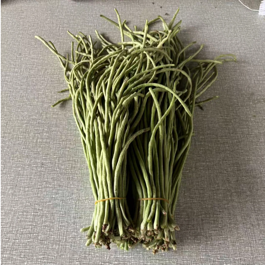 安庆石牌本地露天种植豆角顺丰快递