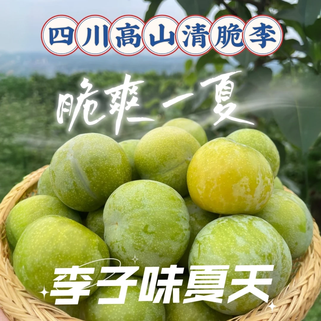 【顺丰包邮】当季四川宜宾高山青脆脱骨李正宗产地现摘冰糖李子