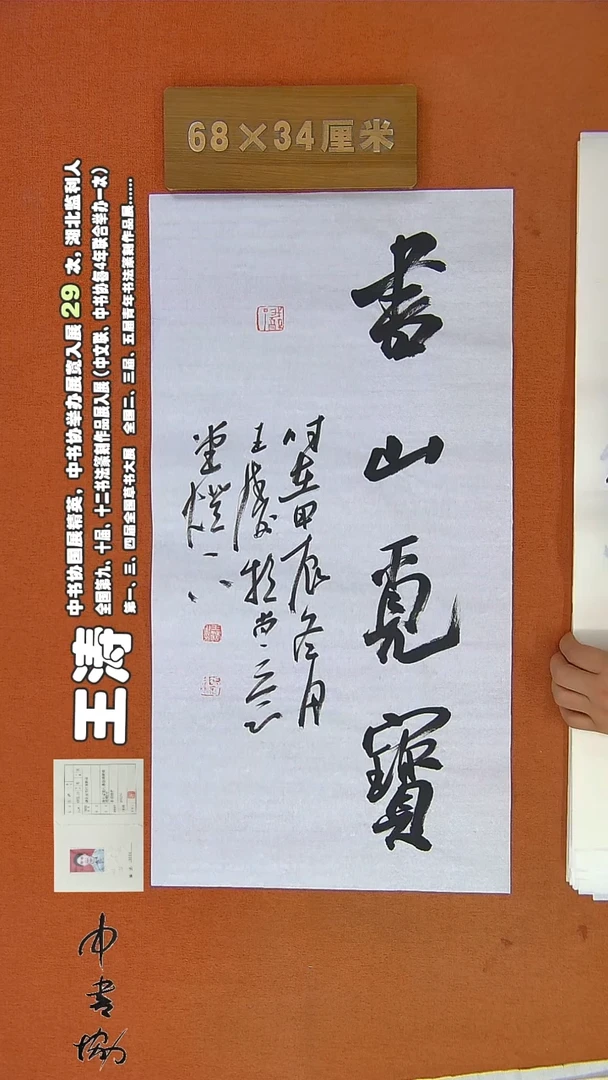 【闪购商品】书法667王涛书法作品
