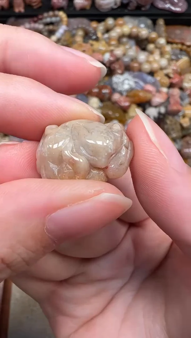 颈饰未镶嵌硅化珊瑚（珊瑚玉）467