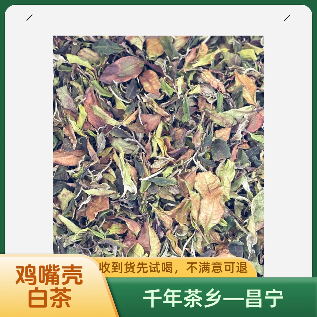 【小余精选】2025年大鹿山鸡嘴壳 云南白茶