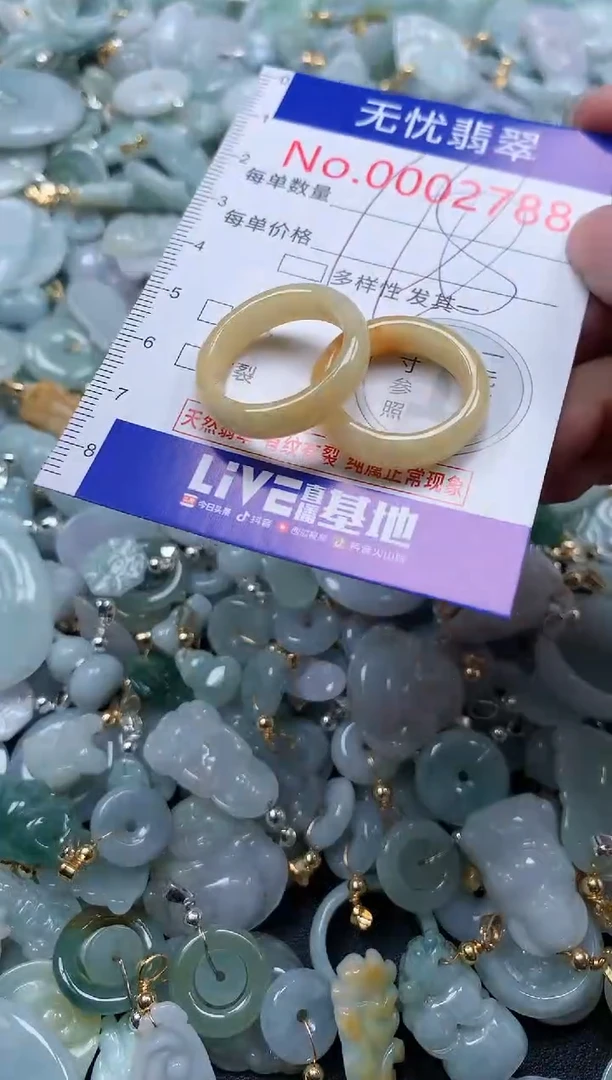 翡翠未镶嵌吊坠(不含链)2788