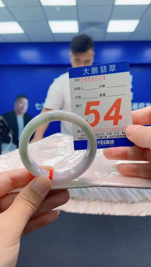 未镶嵌手镯翡翠AAAAAAAAA