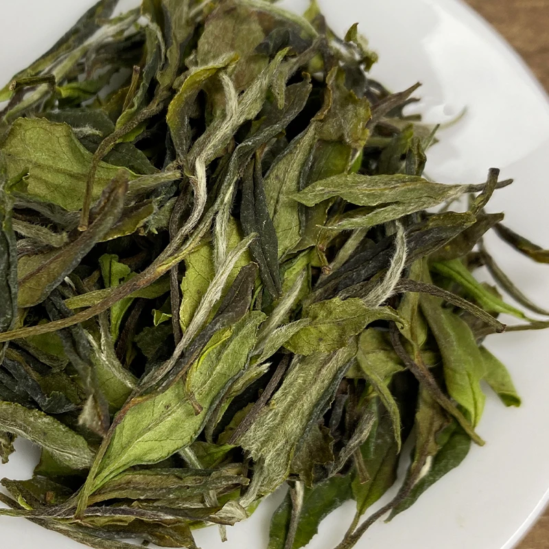 【政和白茶】2025年二五区古树老枞荒野头采春寿三级白牡丹