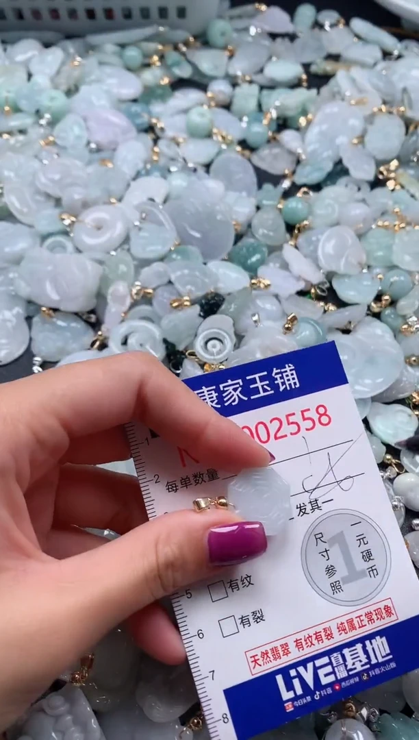 颈饰未镶嵌翡翠2558