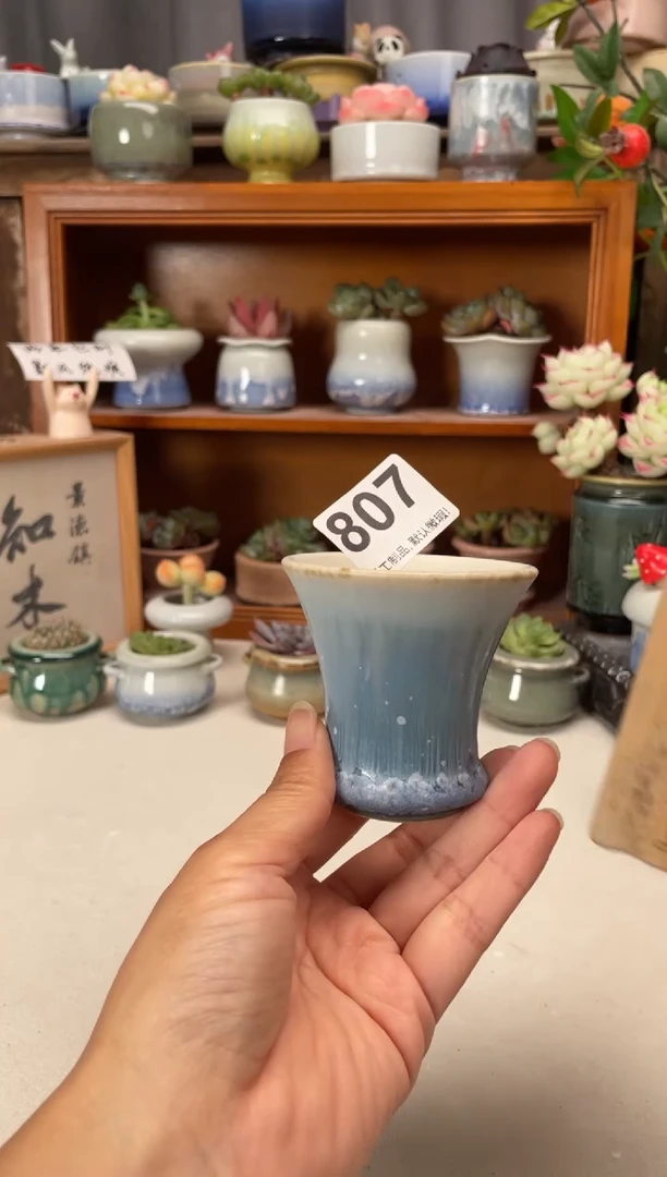 瓷片807知木小芳花盆