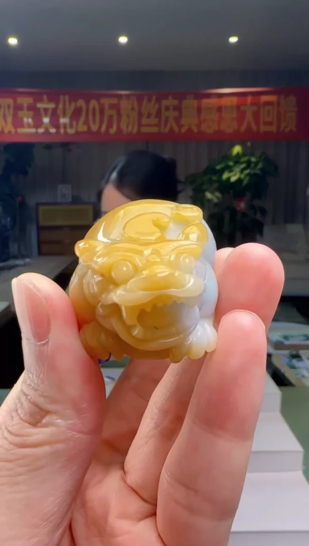 翡翠未镶嵌吊坠(不含链)DY@@WS50613016