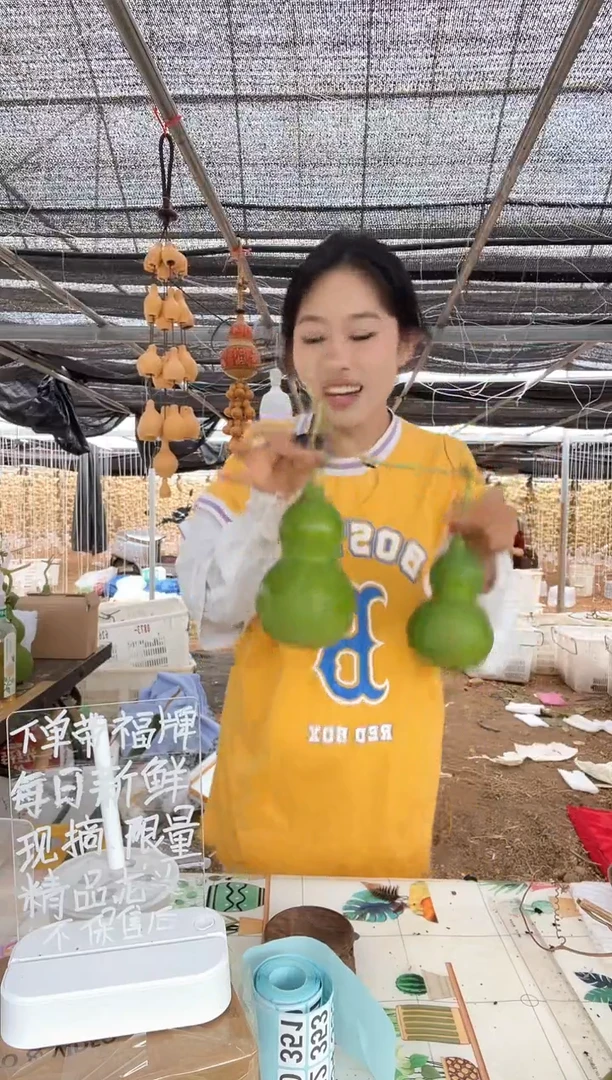 350天然葫芦摆件 一物一拍龙头不保售后