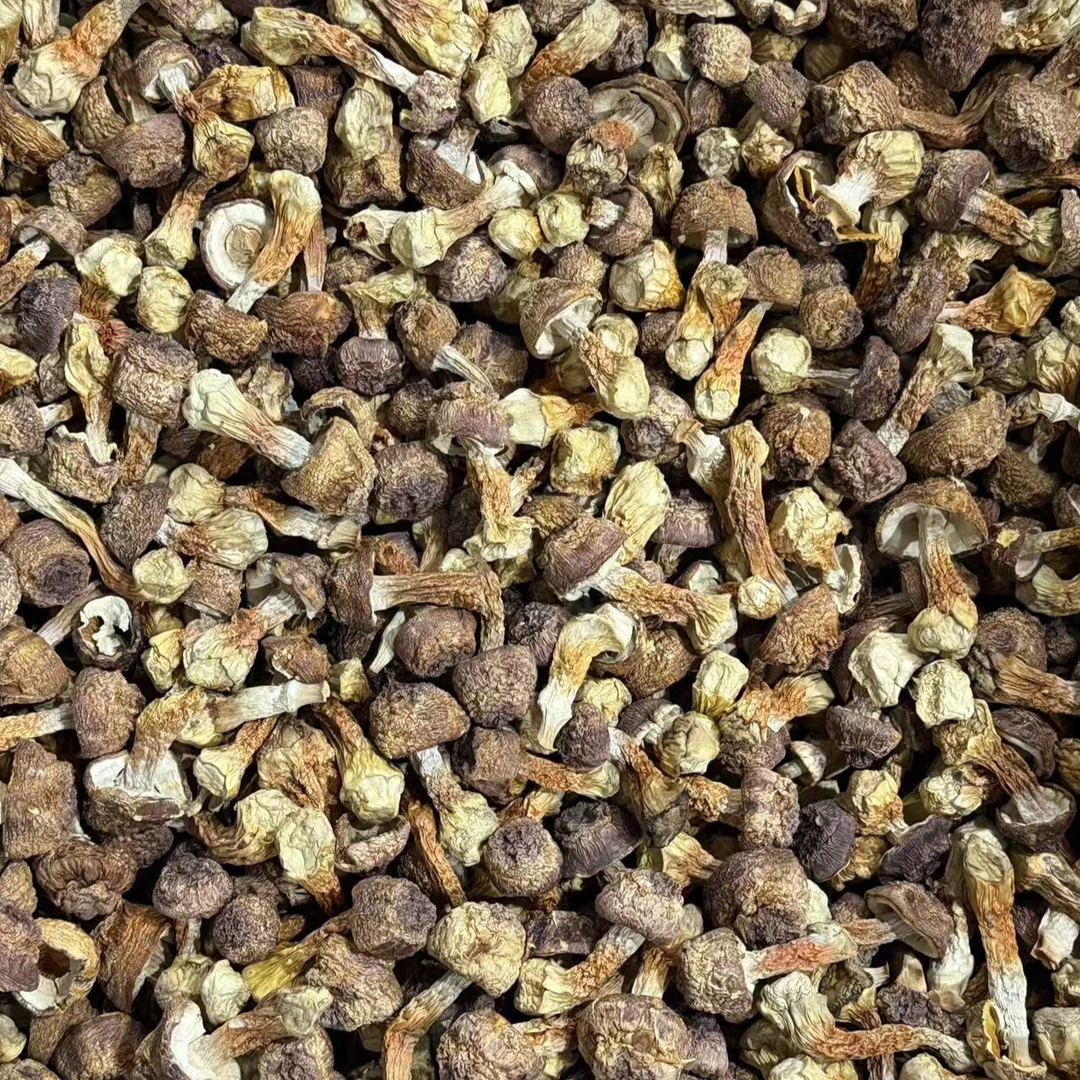 精品山货姬松茸营养煲汤炒菜食用干菌菇