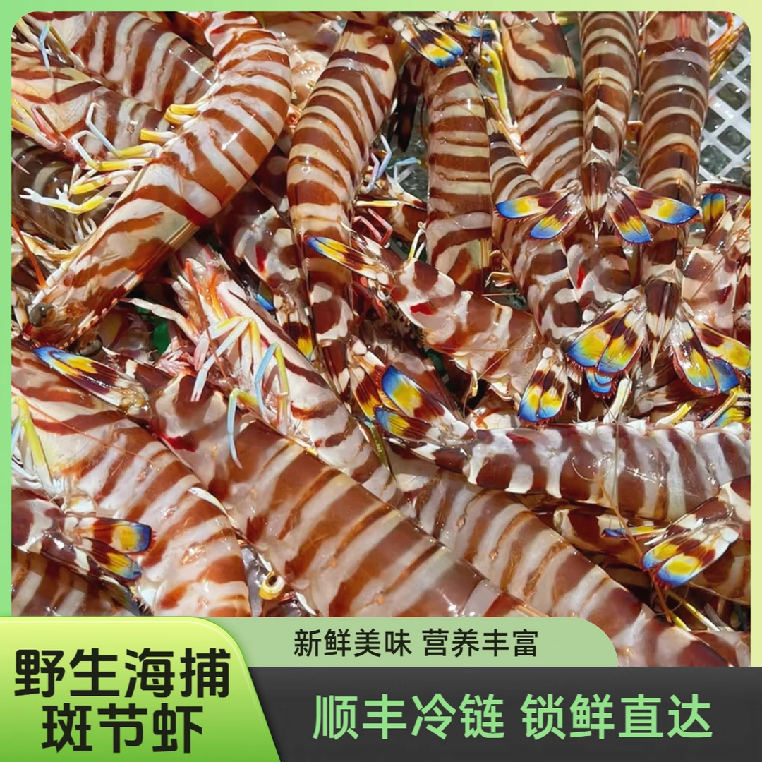 【9头左右/斤次品斑节虾】野生海捕 斑节虾九节虾 速冻锁鲜发货