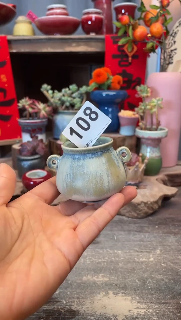 【闪购商品】摆件108知木小芳花盆