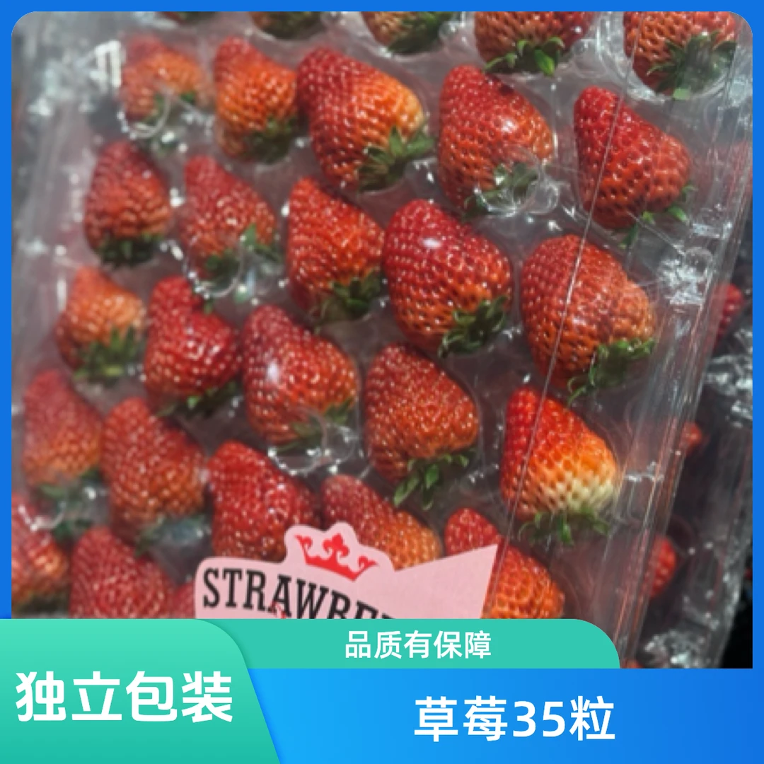 丹东草莓透明包装1kg左右