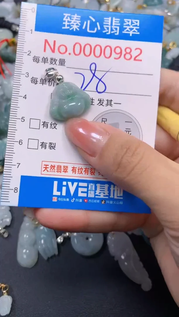 颈饰未镶嵌翡翠982