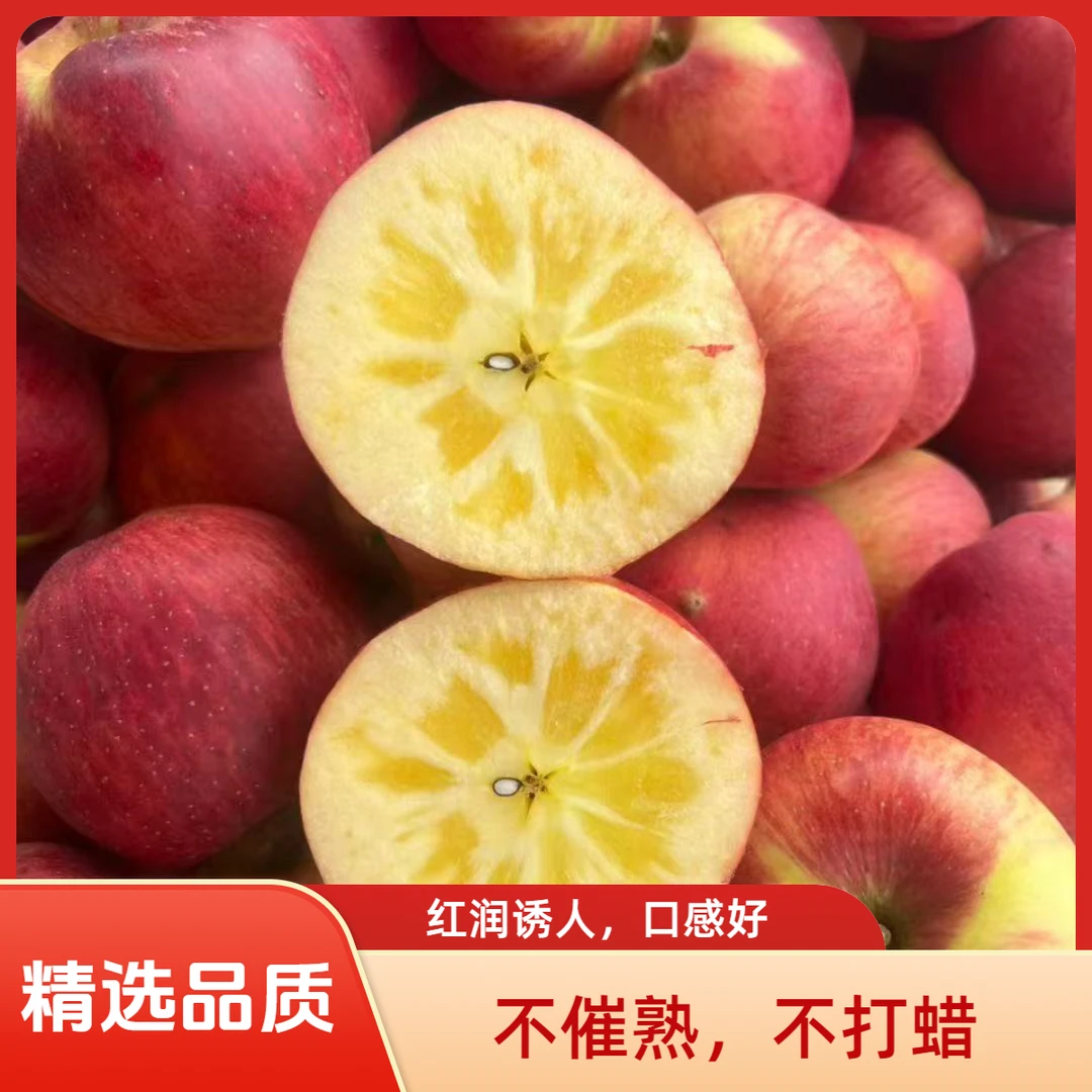 云南昭通冰糖心丑苹果新鲜现摘脆甜多汁果肉细腻水果
