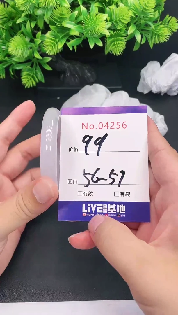 未镶嵌手镯翡翠4256