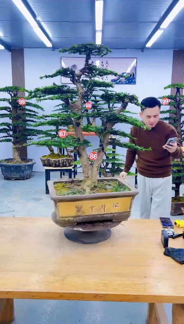 以实际为准0000000000000000