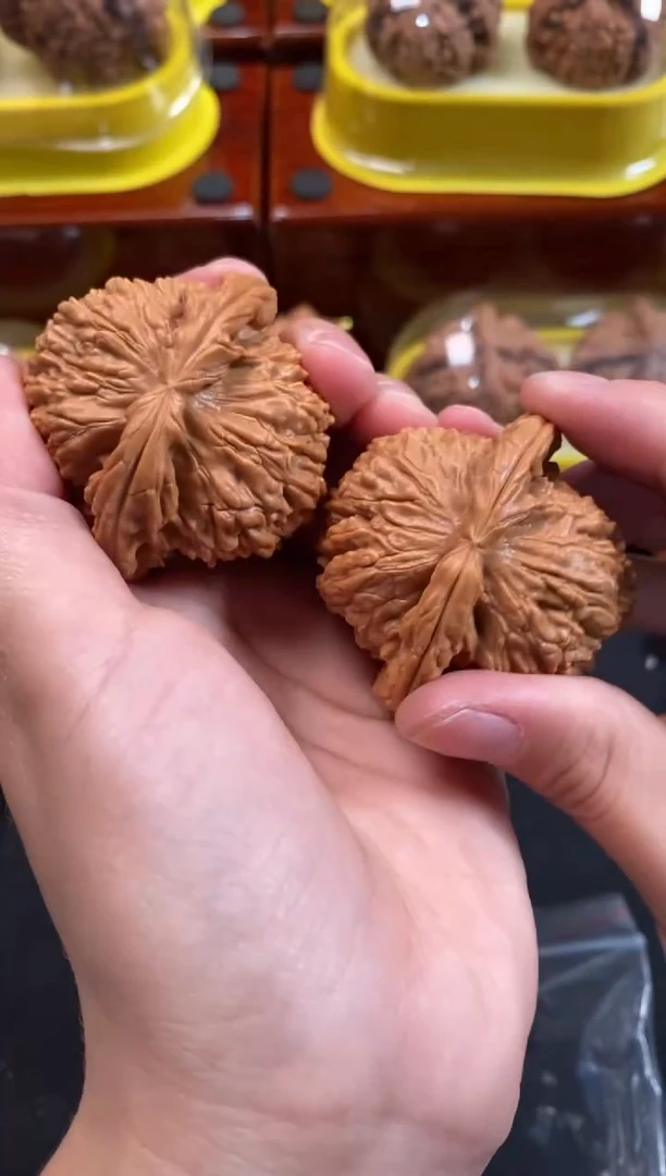 文玩核桃把件白狮子47尺S913