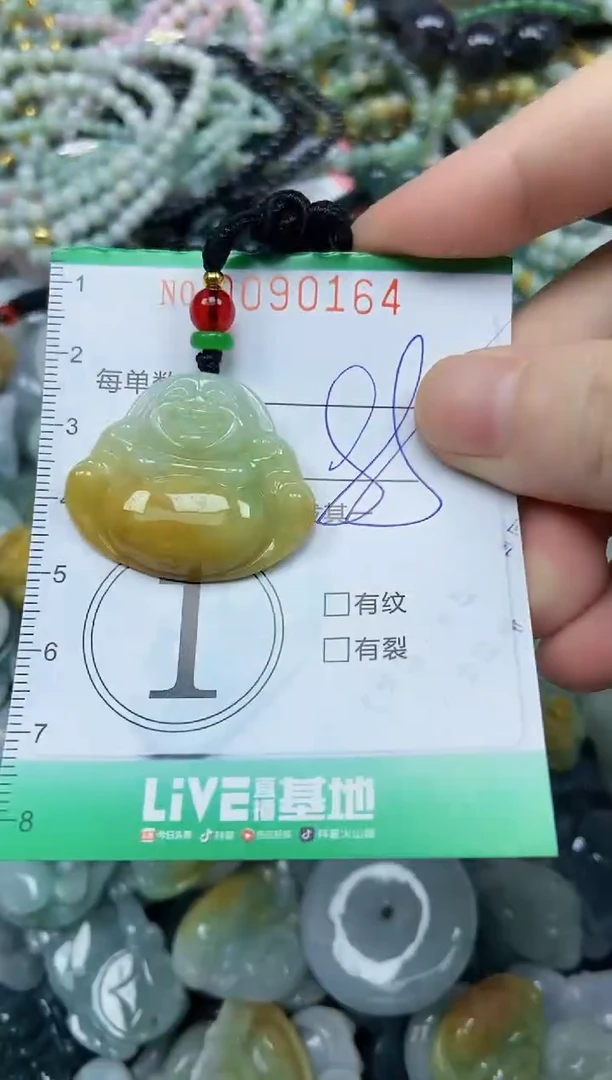 颈饰未镶嵌翡翠闪购0090164