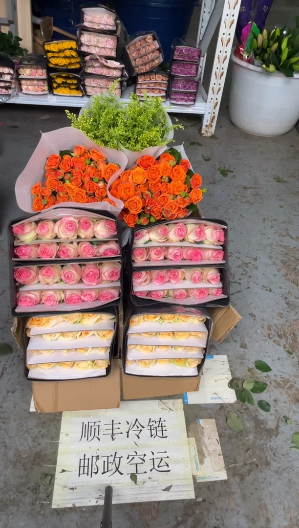 香槟20枝+艾沙20枝+橙色芭比10枝+黄莺