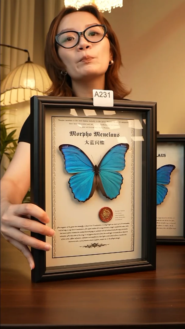 大蓝闪蝶-英文（A4欧式黑框）A231