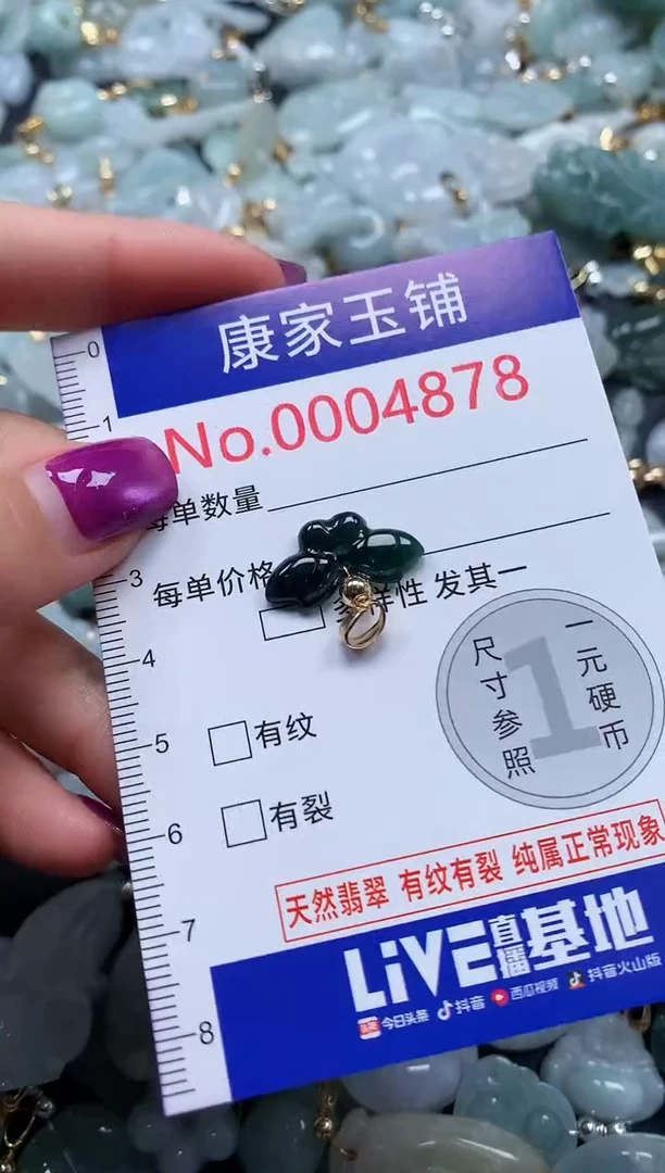 颈饰未镶嵌翡翠4878
