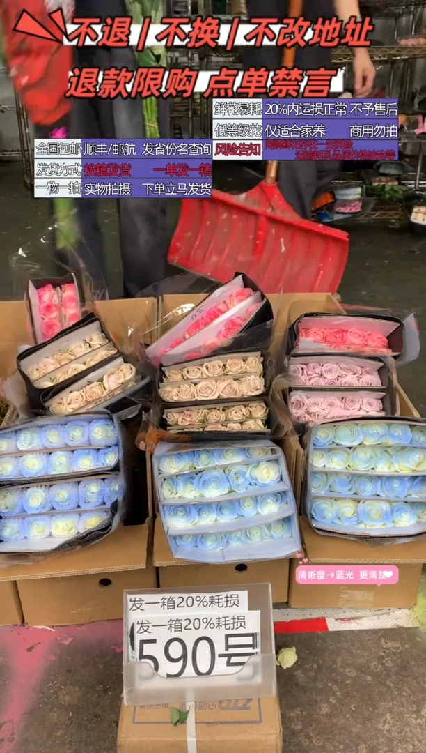 590号♥含20%耗损发一箱