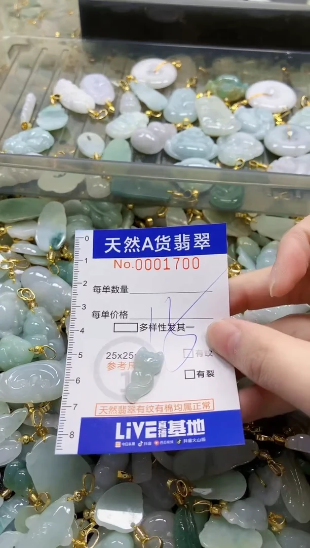 颈饰未镶嵌翡翠天然A货翡翠