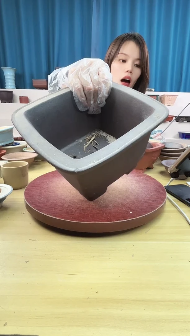 紫砂花盆浅草紫砂花盆微瑕