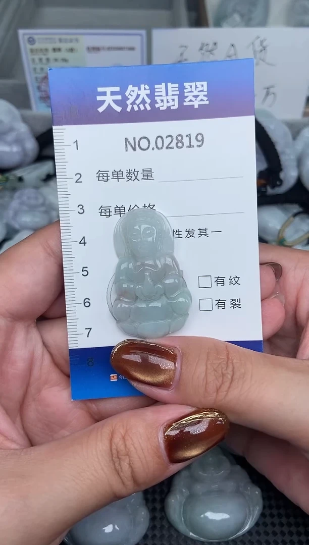 颈饰未镶嵌翡翠纯天然A货翡翠2819