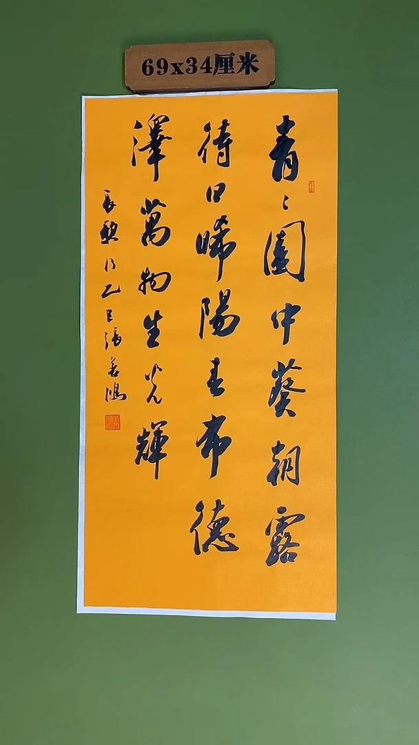 书法书法 张若鸿 尺寸69cm*34cm