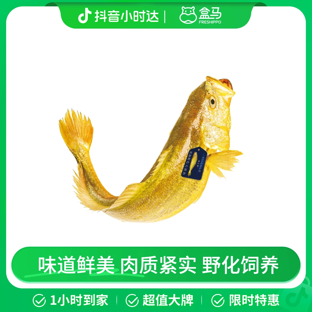 渔至尊 深海野化大黄鱼 1.05kg 预售