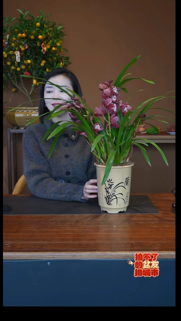 全部花朵红宝石杏色