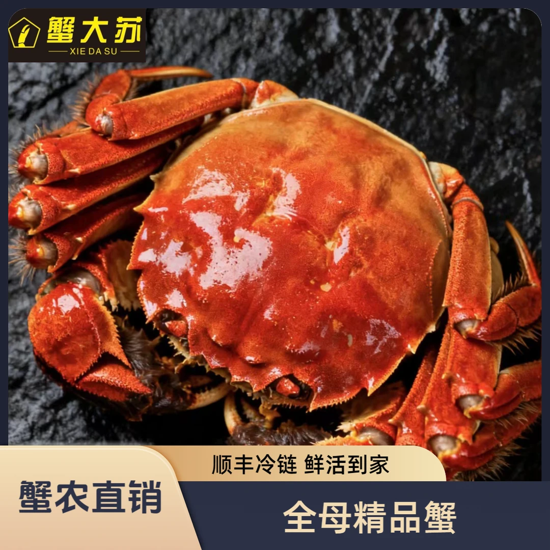【活蟹】3.2-3.6两 母蟹 10只 现捞现发精品大闸蟹礼盒装顺丰冷链