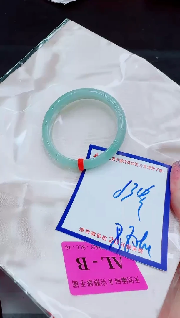 未镶嵌手镯翡翠11111111