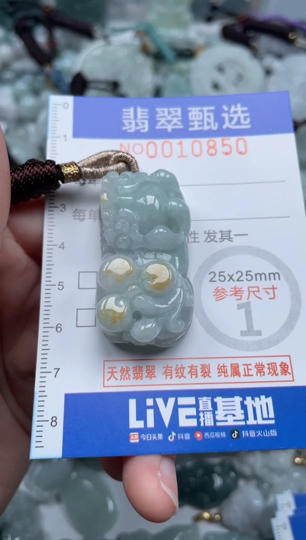 颈饰未镶嵌翡翠10850